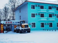 游客长白山观赏东北虎因